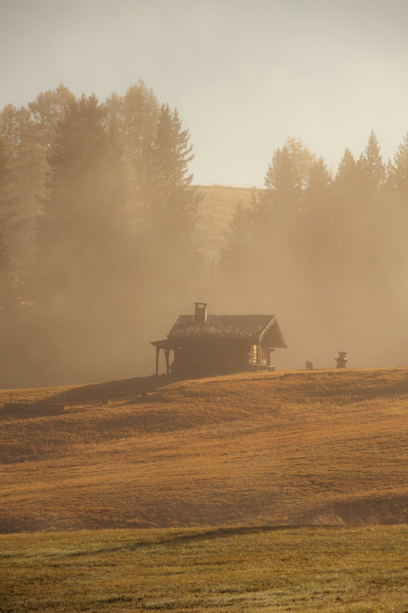 A wooden cabin in golden morning mist